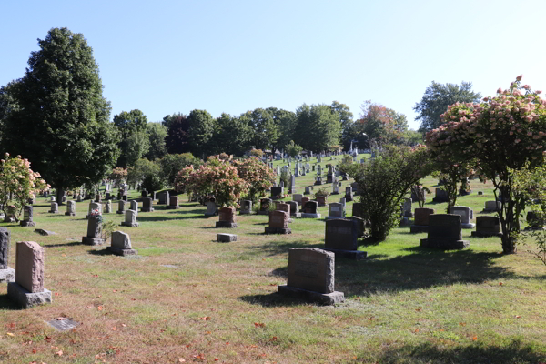 Danville Protestant Cemetery, Les Sources, Estrie, Quebec