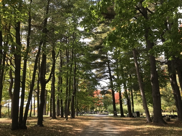 Cimetire St-Alexandre, Limbour, Gatineau, Outaouais, Québec