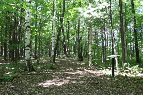 Cedar Point (aka Wrtele) Cemetery, St-David-d'Yamaska, St-David, Pierre-De Saurel, Montrgie, Quebec