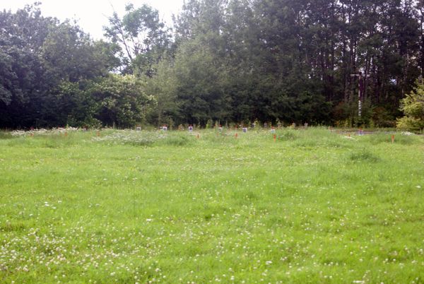 Ancien cimetire de la ferme des Soeurs de Notre-Dame du Bon-Conseil, Chicoutimi, Saguenay, Saguenay-Lac-St-Jean, Québec