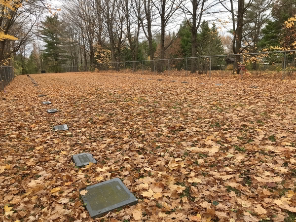 St-Alexandre College Cemetery, Limbour, Gatineau, Outaouais, Quebec